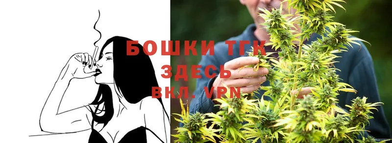 Бошки марихуана THC 21%  Луховицы 